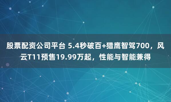 股票配资公司平台 5.4秒破百+猎鹰智驾700，风云T11预售19.99万起，性能与智能兼得